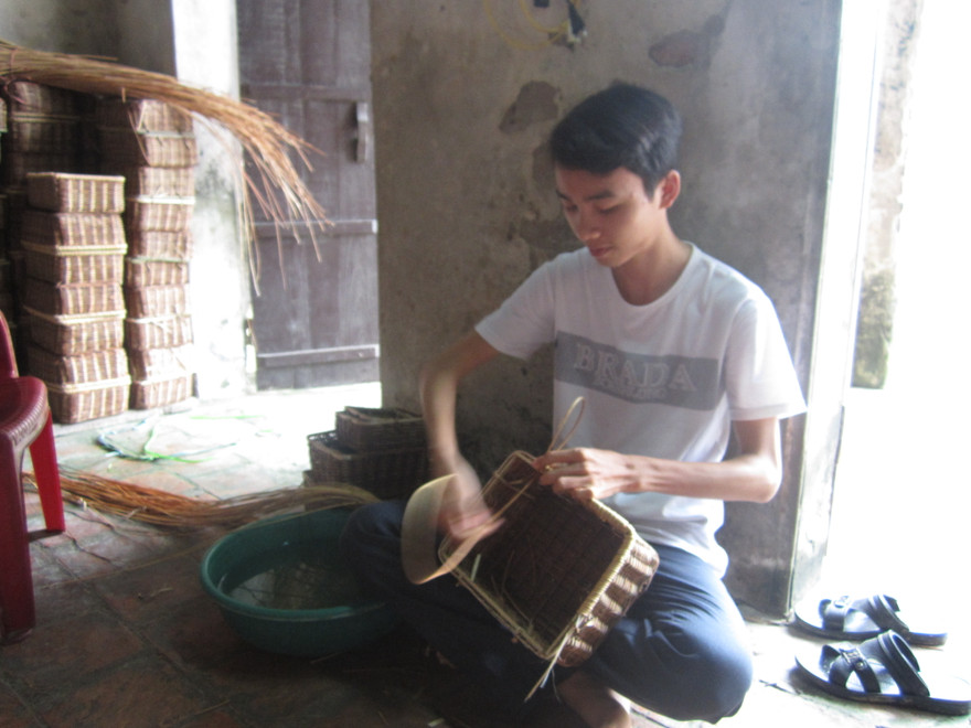 Thủ khoa ĐH Dược 29 điểm: Sẽ lo kiếm tiền đi học