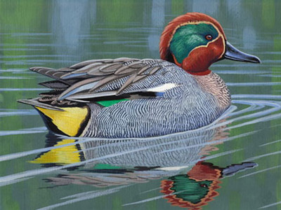 Thú chơi gia cầm bạc triệu