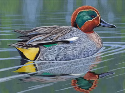 Thú chơi gia cầm bạc triệu