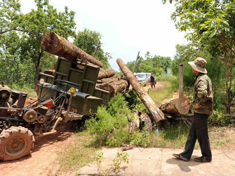 Xử lý hàng loạt cá nhân mượn danh dự án phá rừng