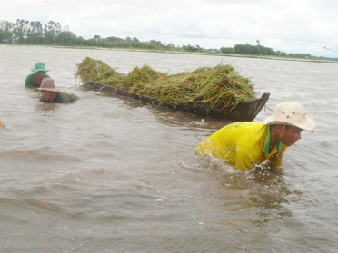 Không khí lạnh tăng cường, Bắc Bộ mưa rào