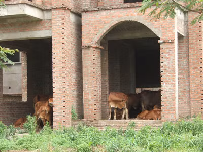 Không thiếu luật xử biệt thự bỏ hoang