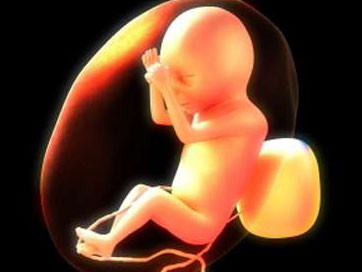 Phát hiện thai nhi cũng biết... ngáp