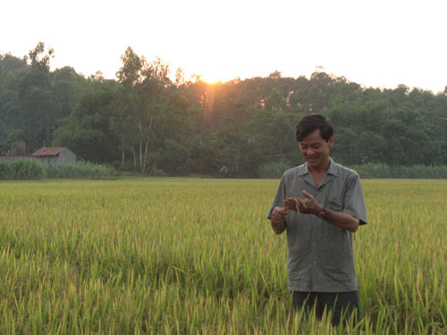 Sau “Bí thư tỉnh ủy”, sẽ có “Chủ tịch tỉnh”