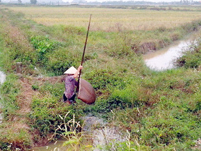 Lừa bán đất khống cho hơn 100 người