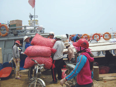 Đảo tỏi nhập... tỏi