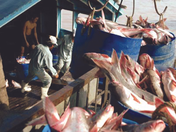 Sắp có đề án cứu doanh nghiệp