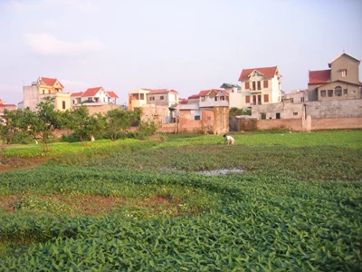 Dùng “trưng mua” thay cho “thu hồi” đất