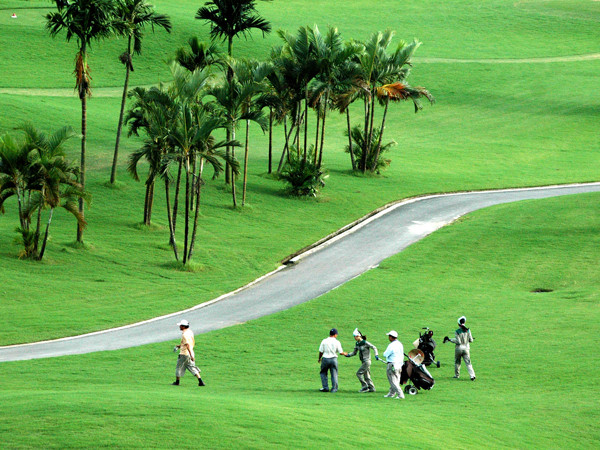 Nhiều nơi đất lúa bị mất vì sân golf. Ảnh: Hồng Vĩnh