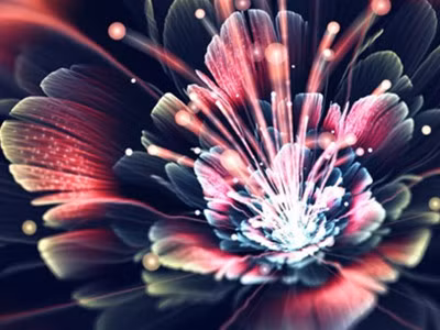 Huyền ảo những bông hoa Fractal Art