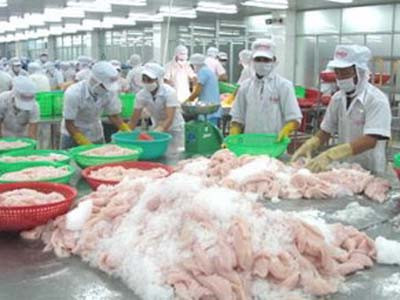 "Mỹ áp mức thuế với cá tra Việt Nam không hợp lý"