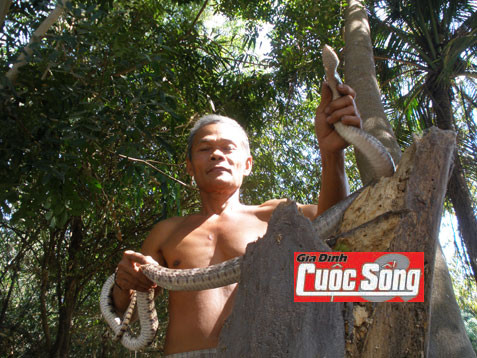 Bí ẩn mãng xà trong đại ngàn Ma Thiên Lãnh