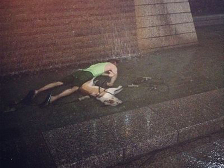 Chết vì điện giật do nhảy vào bể nước... cứu chó