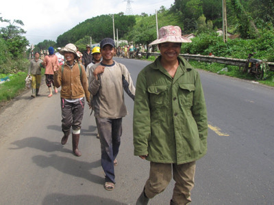 Bất lực trước nạn đào tìm huỳnh đàn