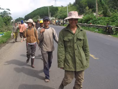Bất lực trước nạn đào tìm huỳnh đàn