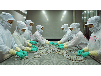 Mỹ áp thuế chống trợ cấp tôm Việt Nam