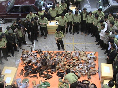 Lần đầu vinh danh người bảo vệ thú quý