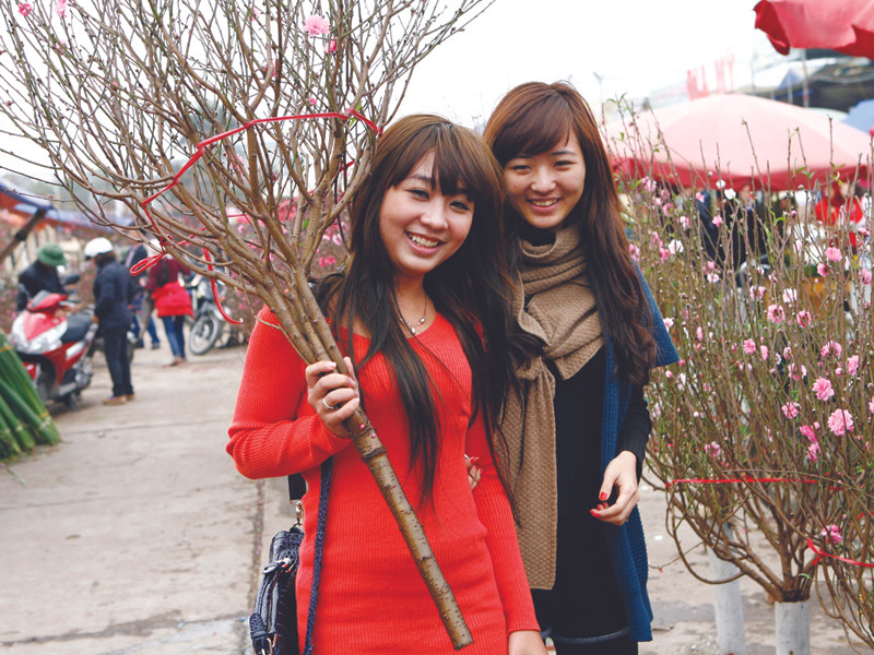 Hoa, cây cảnh Tết: Giá không cao hơn năm ngoái