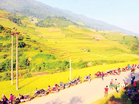 Mù Cang Chải - Nôn nao mùa lúa chín