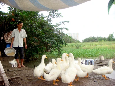 “Địa chủ” không tiền giữa Sài Gòn hoa lệ