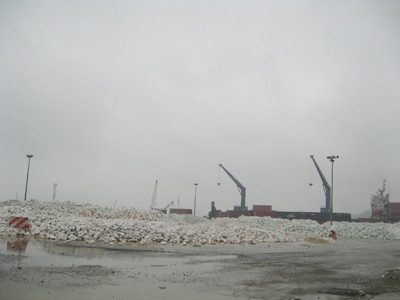 Khổ với bụi đá trắng