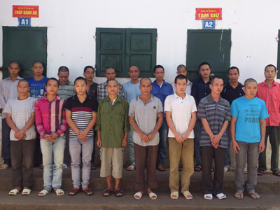 Bắt 20 đối tượng trộm 50 con trâu, bò