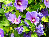 Thứ Hai của bạn (16-4-2012)