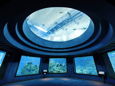 Thâm nhập thủy cung lớn nhất thế giới ở Singapore