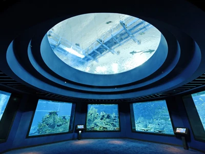 Thâm nhập thủy cung lớn nhất thế giới ở Singapore