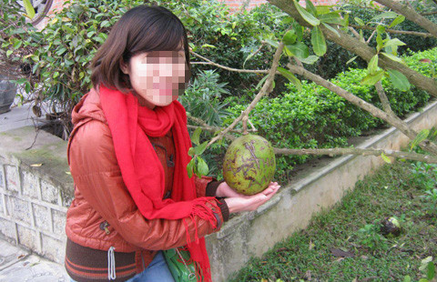 Nữ sinh tử nạn trên đường phượt Mộc Châu