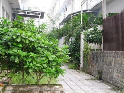 Méo mó những đô thị kiểu mẫu