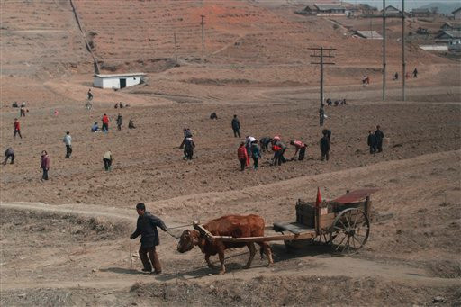 LHQ kêu gọi viện trợ 200 triệu USD cho Triều Tiên