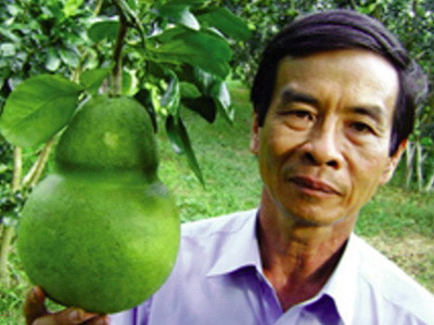 Bưởi Năm roi hình hồ lô