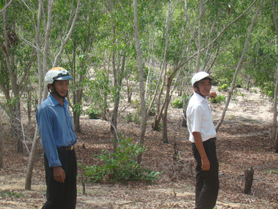 Du lịch về làng, nông dân mất đất