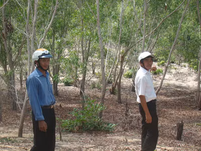 Du lịch về làng, nông dân mất đất