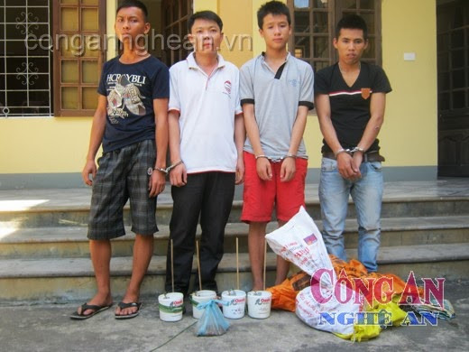 Bắt nhóm 'miêu tặc' thành Vinh