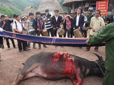 Huyền thoại mùa săn máu