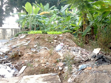 Án đã bị hủy, vẫn cưỡng chế thi hành?