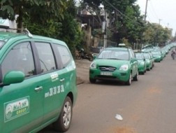 'Sức khỏe' của tập đoàn Mai Linh qua những con số