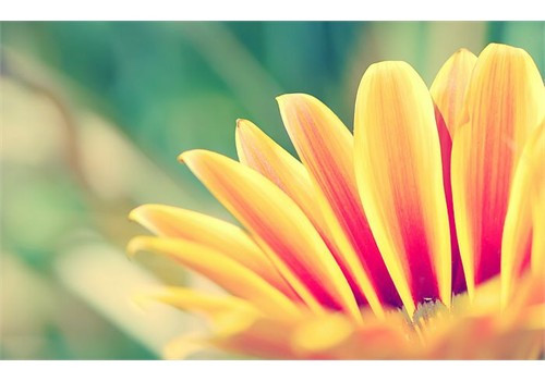 Tháng 6 của bạn