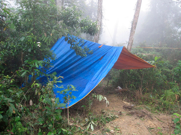 Một lán trại lâm tặc dựng sát đường độc đạo vào khu rừng bị phá