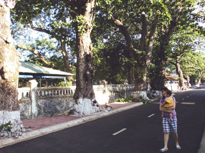 Côn Đảo xa và gần...