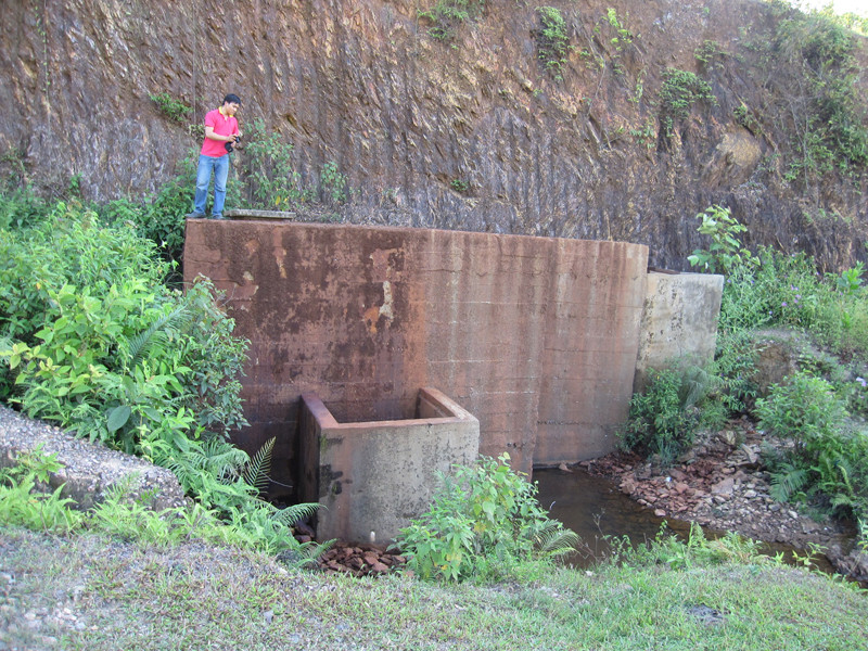 Phơi nắng hàng loạt