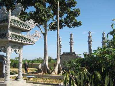 Cây bộp ở mộ tổ họ Thân làng An Lỗ . Ảnh: Thân Trọng Ninh