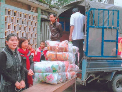 Gặp một người tìm mộ