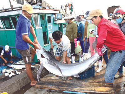 TQ ngang ngược “cấm biển”: Ngư dân Việt không chùn bước