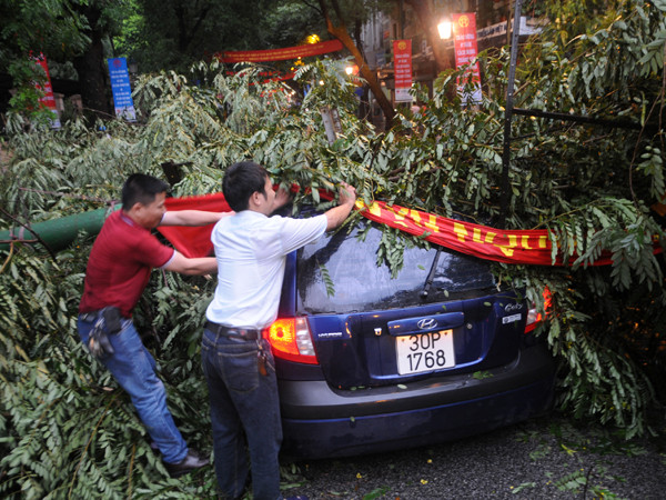 Lái xe thoát chết kinh hoàng kể phút cây đè nát 'xế hộp'