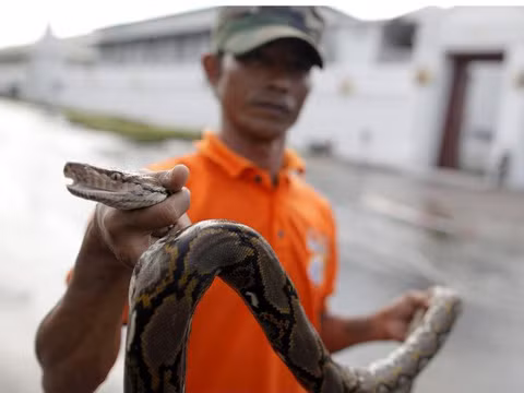 Hàng chục nghìn người rời thủ đô tránh lụt lớn