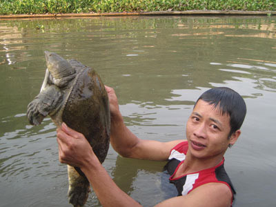 Làm giàu từ thất bại của cha