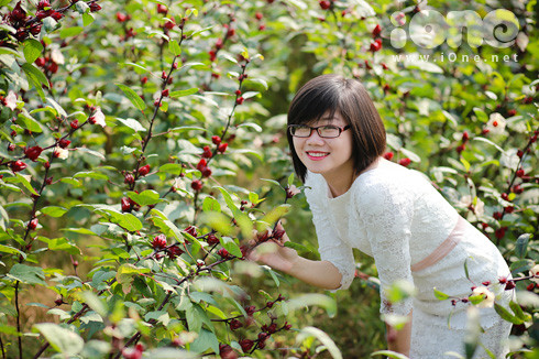 Giới trẻ đổ xô chụp ảnh cùng hoa lạ